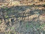 0 Barentine Road - Photo 6