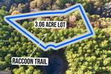 0 Raccoon Trail - Photo 4