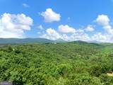 1402 Henderson Mountain Road - Photo 61