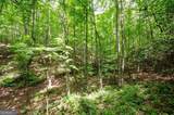 1402 Henderson Mountain Road - Photo 68