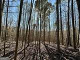 0 Sheep Pasture Road - Photo 29