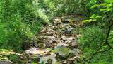 0 Lower Star Creek (Tract A-10.67 Acres) Road - Photo 10