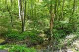 0 Lower Star Creek (Tract A-10.67 Acres) Road - Photo 9