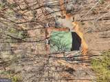 638 Cohutta Mountain Road - Photo 12