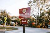 TRACT 7 Robert Hardeman - Photo 8
