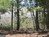 0 Briar Patch Lot 28 Place - Photo 5