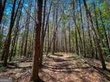 111 +/- Acres Off Slate Mine Road - Photo 18