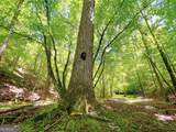 111 +/- Acres Off Slate Mine Road - Photo 8