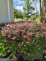 115 Spring Lake Circle - Photo 30
