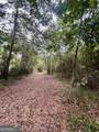 0 Mccarty Dodd Road - Photo 4