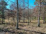 LTS 52 AND 53 Village Loop - Photo 4
