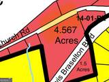 0 Hwy 124 (Aka Lewis Braselton Blvd) - Photo 3