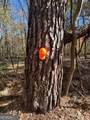 0 Oconee Rd Lot 7 - Photo 9