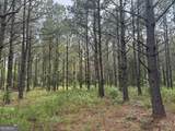 0 Mamie Graham Road - Photo 10