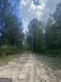0 Mamie Graham Road - Photo 4