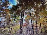 6 Morgan Creek Lot 6 - Photo 1