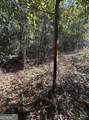 0 Bull Branch Road - Photo 10