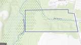 0 Bull Branch Road - Photo 13