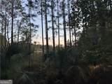 LOT 357 Wood Stork Way - Photo 5