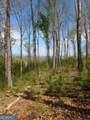 LOT 91 Winding Ridge - Photo 18