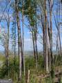LOT 91 Winding Ridge - Photo 19