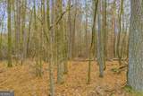 0 Broad River Road - Photo 16