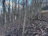 281 Andes Ridge - Photo 22