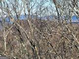 281 Andes Ridge - Photo 8