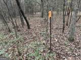 0 Branson Crossing Road - Photo 12