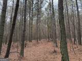 0 Branson Crossing Road - Photo 4