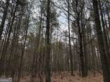 0 Branson Crossing Road - Photo 9