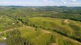 0 Old Blacks Bluff Road - Photo 6