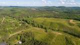 0 Old Blacks Bluff Road - Photo 7