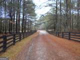 +/- 14 ACRES Youth Jersey Road - Photo 10