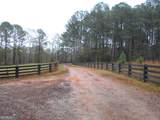 +/- 14 ACRES Youth Jersey Road - Photo 5