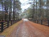+/- 14 ACRES Youth Jersey Road - Photo 9