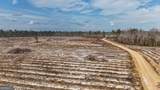0 Bells Ferry Road - Photo 19