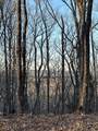LOT 19 Mountain Ridge Drive - Photo 21