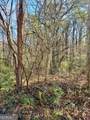 0 Horn Lake Road - Photo 10