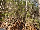 0 Mule Branch Road - Photo 10