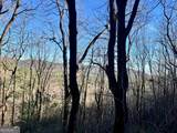 0 Mule Branch Road - Photo 11