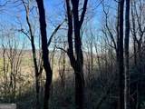 0 Mule Branch Road - Photo 13