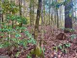 0 Mule Branch Road - Photo 15