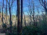 0 Mule Branch Road - Photo 16