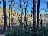 0 Mule Branch Road - Photo 17