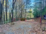 0 Mule Branch Road - Photo 3