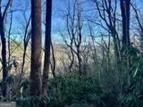 0 Mule Branch Road - Photo 9
