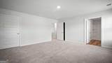 315 Royal Fern Lane - Photo 28