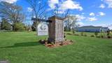 315 Royal Fern Lane - Photo 42