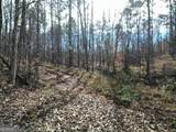 881 Little New York Trail - Photo 7